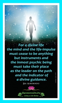 For A Divine Life Path.jpg